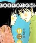 Read Kimi Ni Todoke EN Manga Online