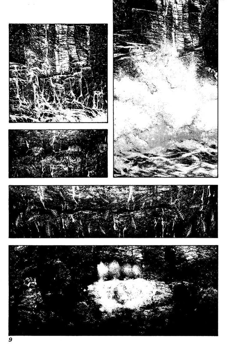 Read Kokou No Hito EN Manga Online