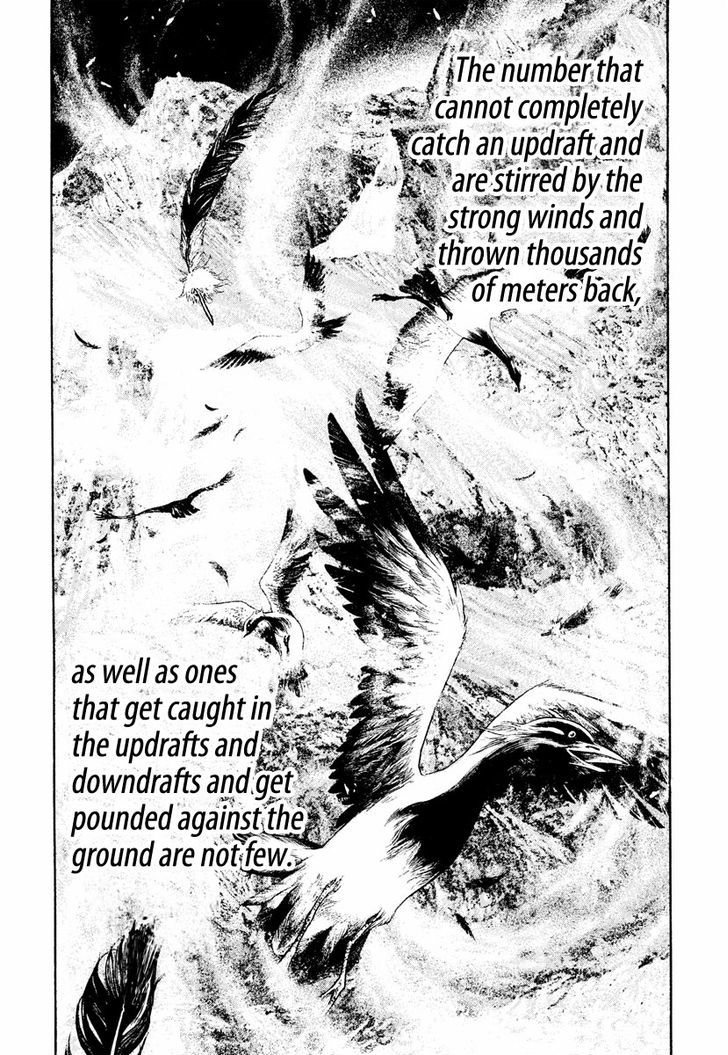 Read Kokou No Hito EN Manga Online