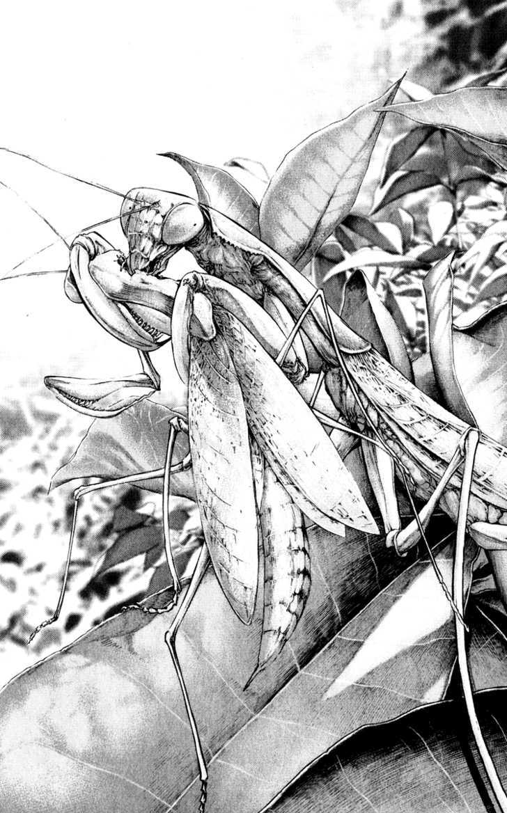 Read Kokou No Hito EN Manga Online