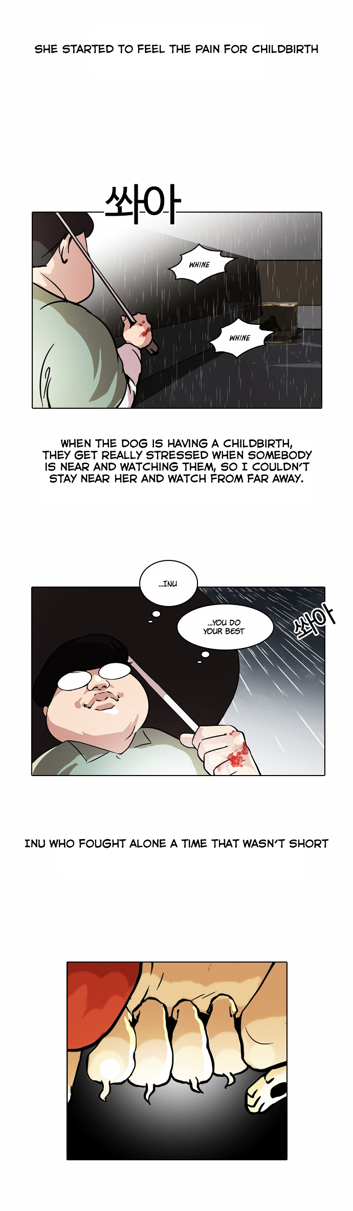 Read Lookism EN Manga Online