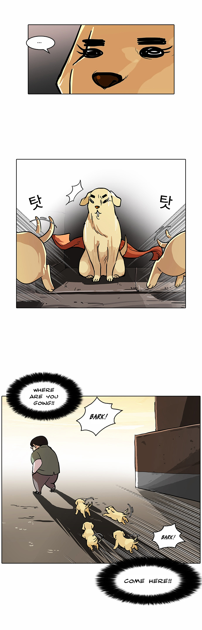 Read Lookism EN Manga Online