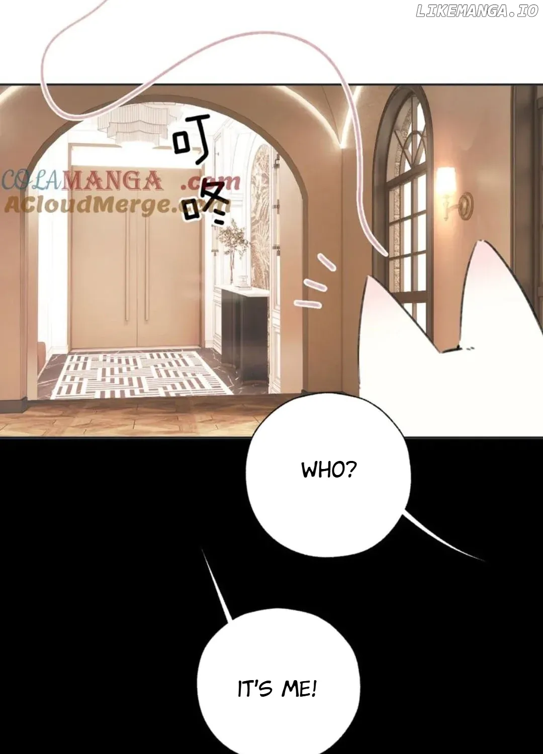 Read Love by Mistake EN Manga Online