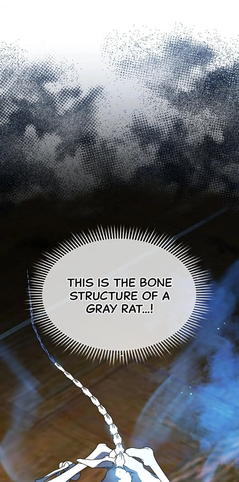 Read Necromancer Academy and the Genius Summoner EN Manga Online