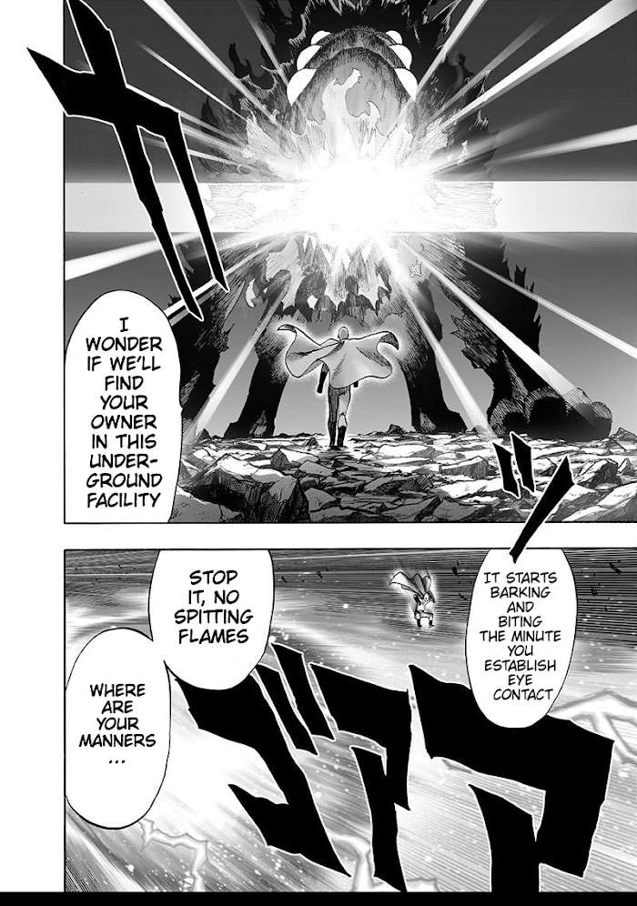 Read One Punch Man EN Manga Online