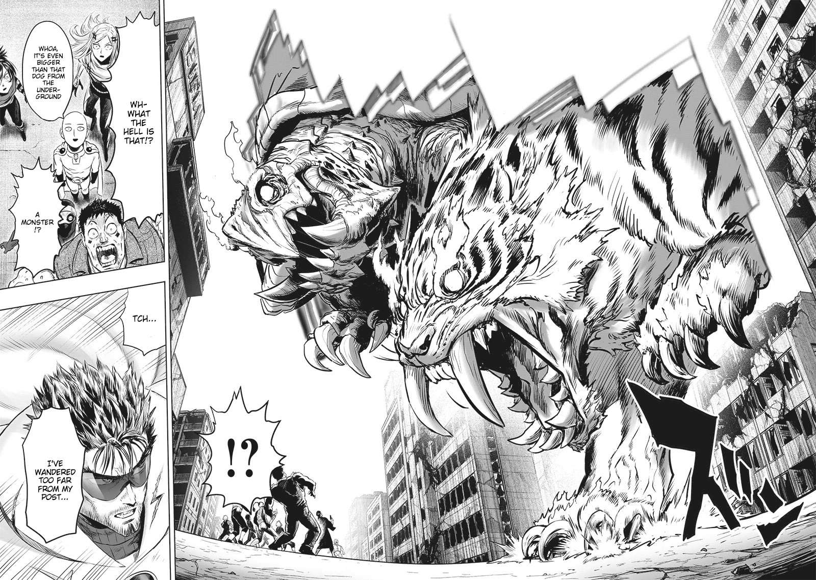 Read One Punch Man EN Manga Online