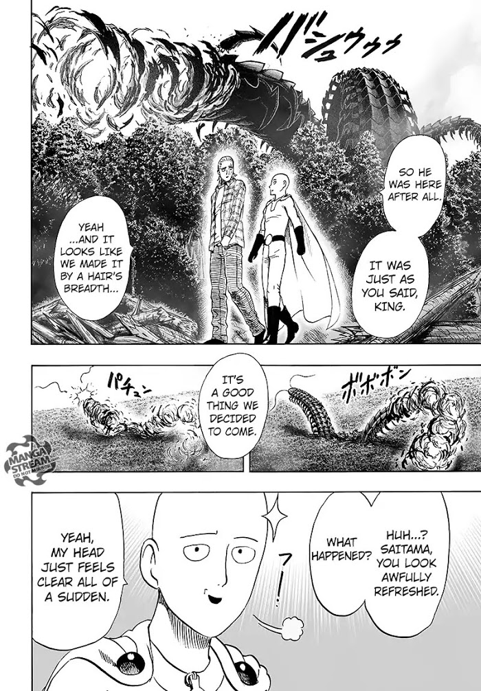 Read One Punch Man EN Manga Online
