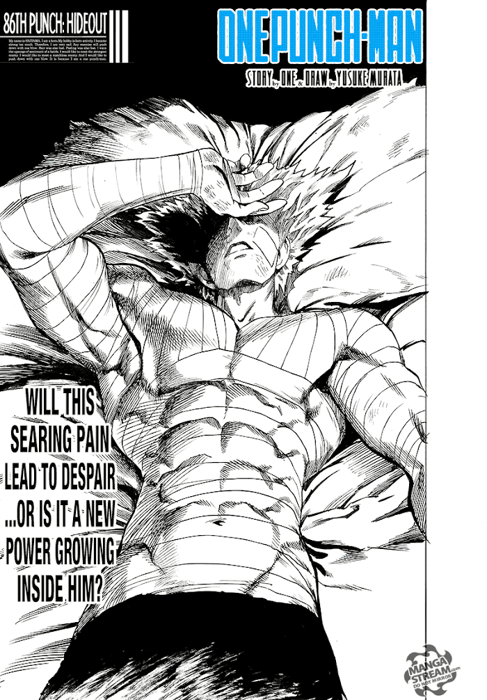 Read One Punch Man EN Manga Online
