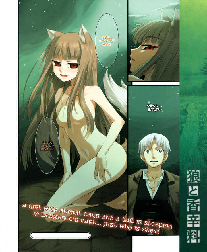 Read Ookami to Koushinryou EN Manga Online