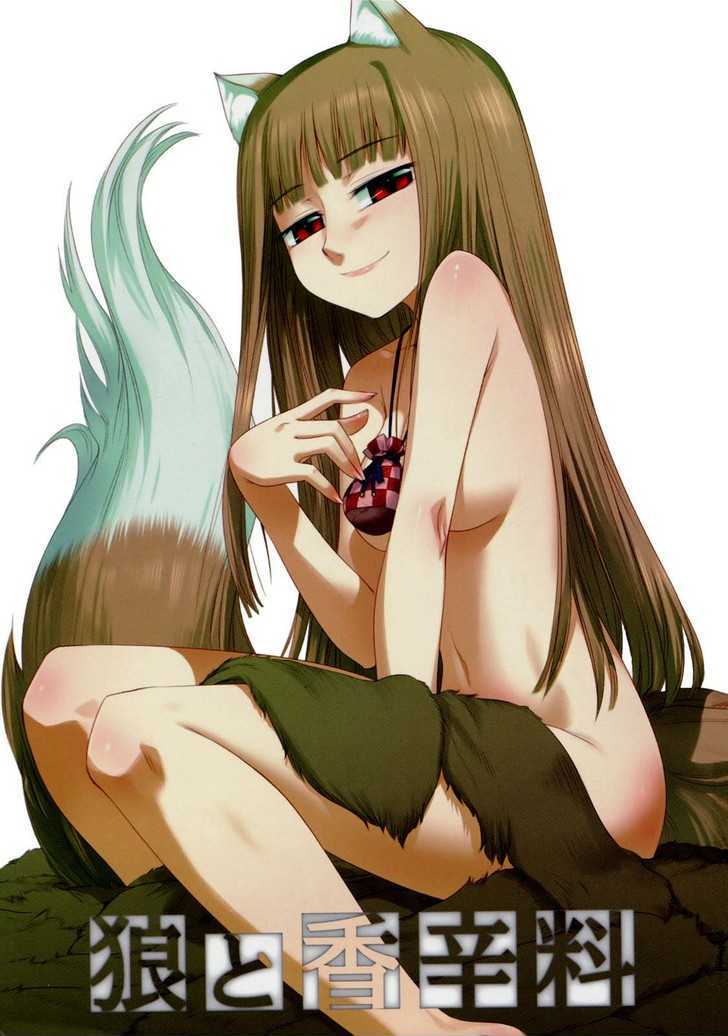 Read Ookami to Koushinryou EN Manga Online