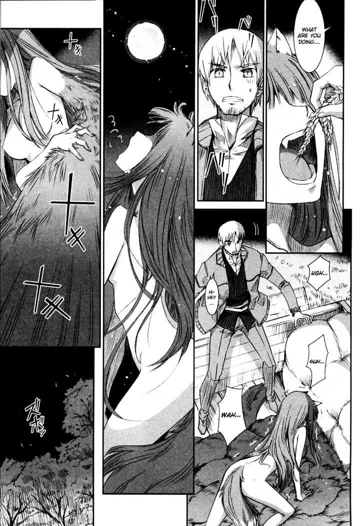 Read Ookami to Koushinryou EN Manga Online