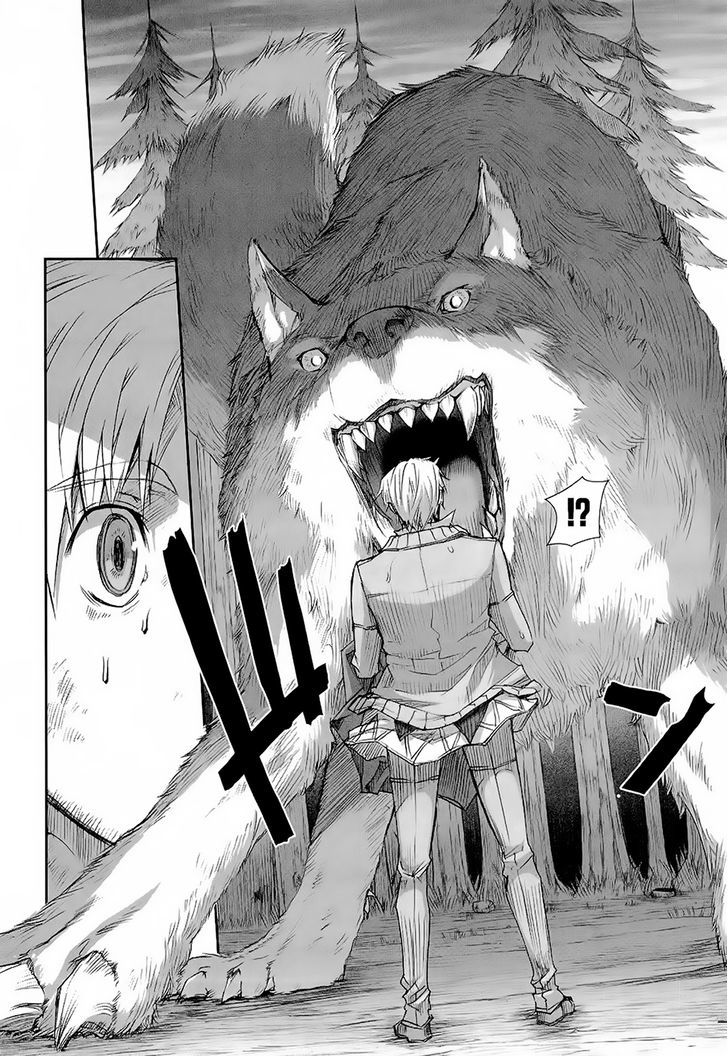 Read Ookami to Koushinryou EN Manga Online