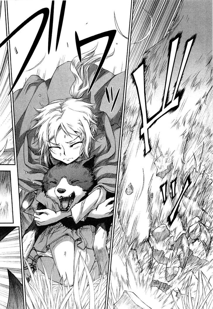 Read Ookami to Koushinryou EN Manga Online