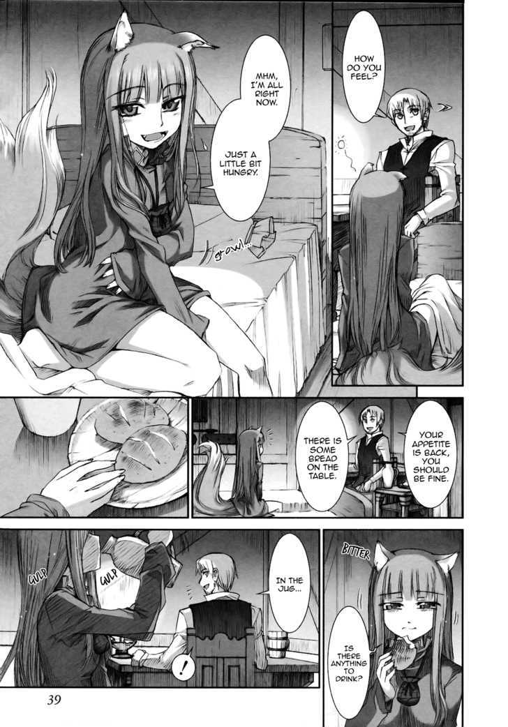 Read Ookami to Koushinryou EN Manga Online
