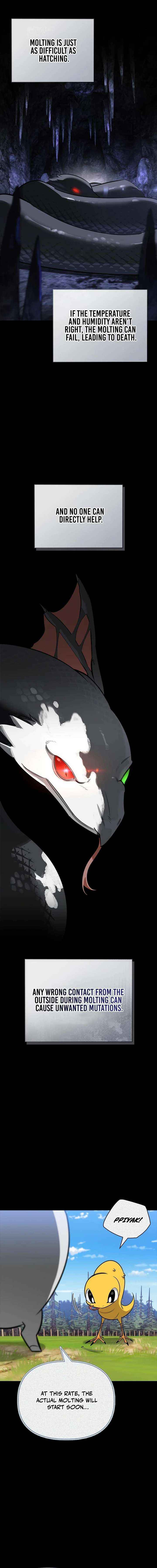 Read S-Class Hunter Heals with Monsters EN Manga Online