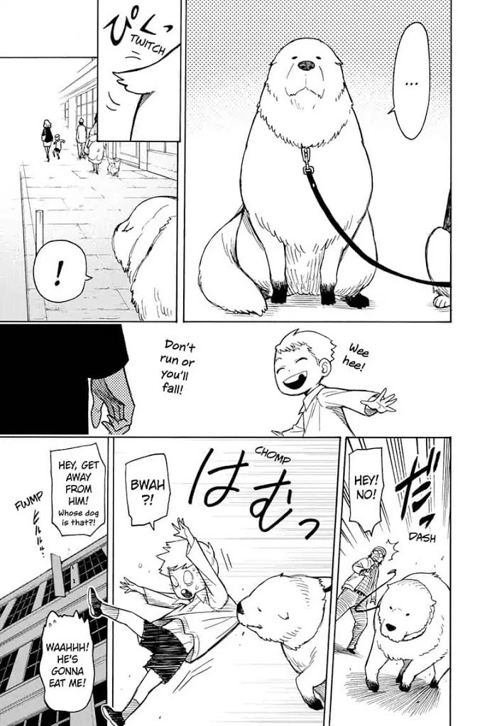 Read SPY x FAMILY EN Manga Online