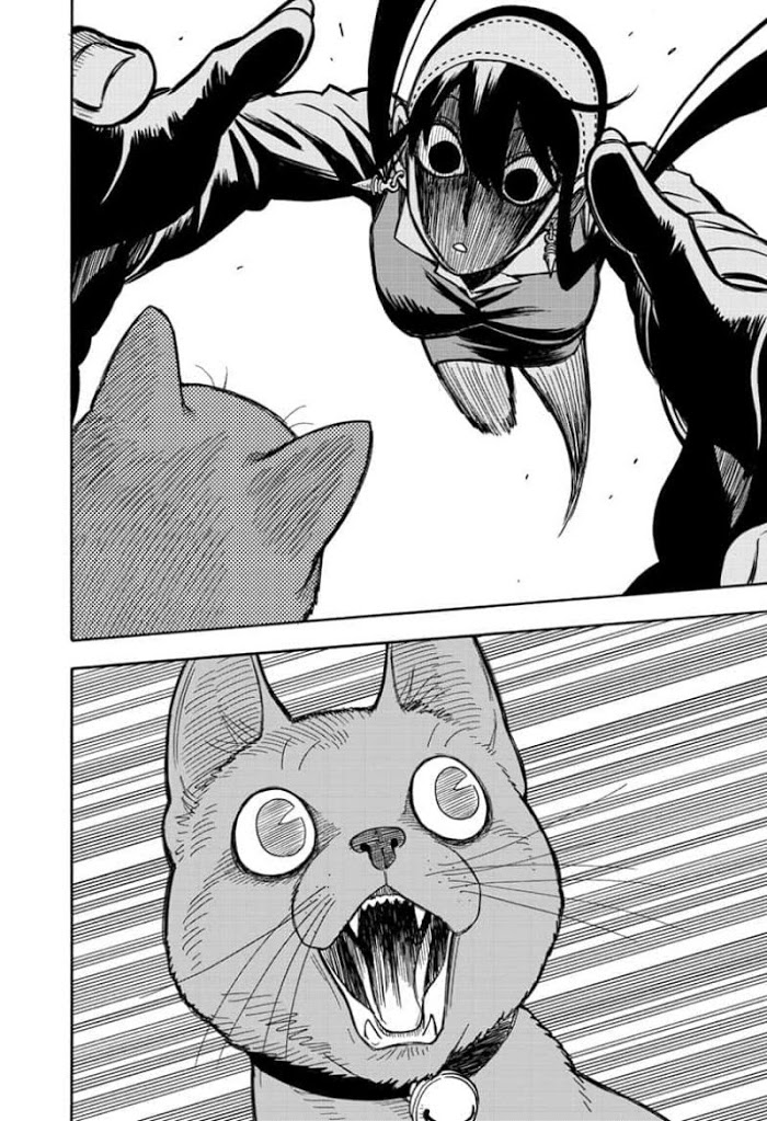 Read SPY x FAMILY EN Manga Online
