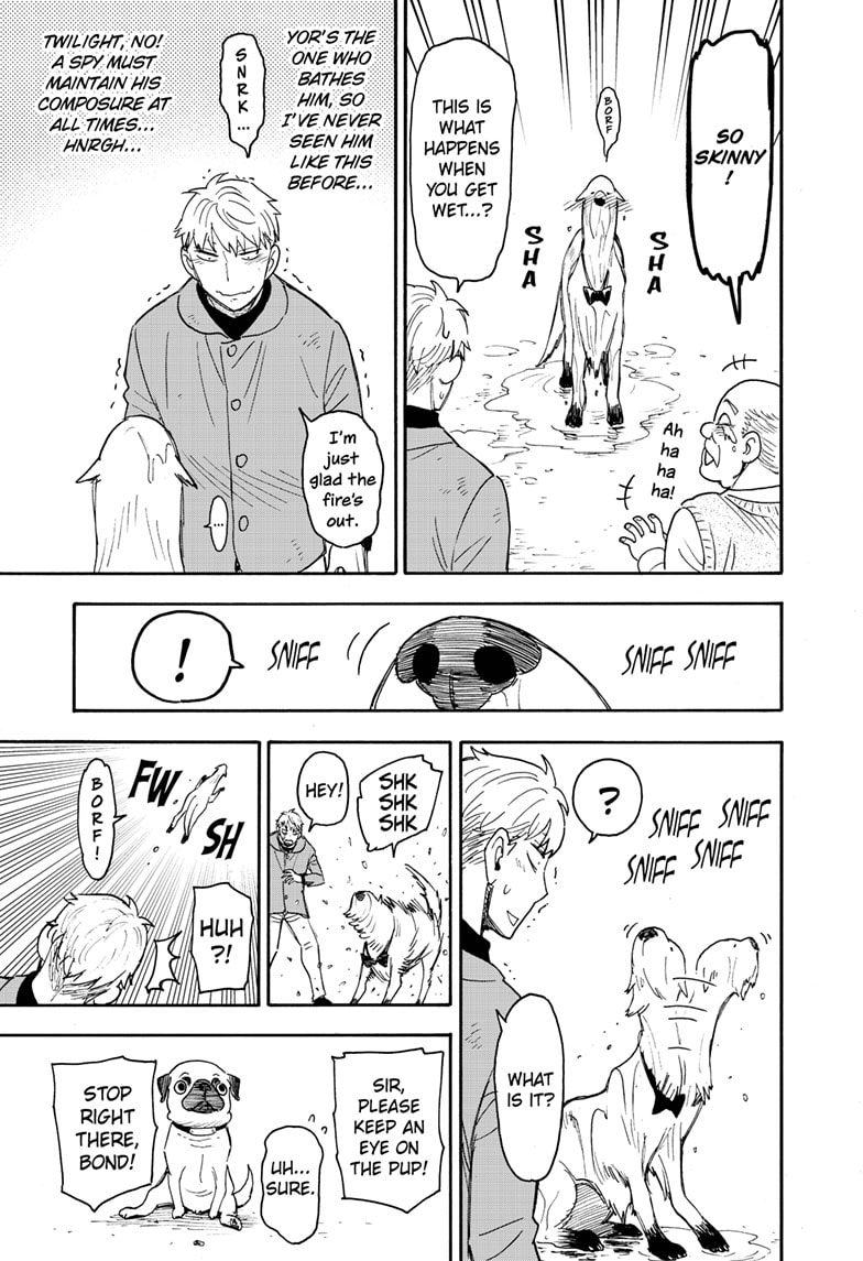 Read SPY x FAMILY EN Manga Online