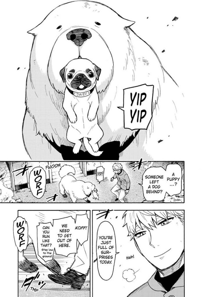 Read SPY x FAMILY EN Manga Online