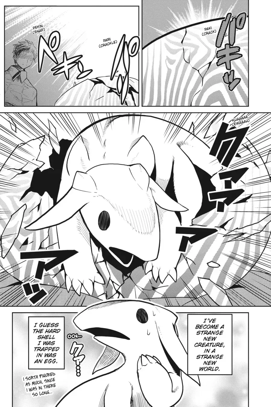 Read So I'm a Spider, So What EN Manga Online