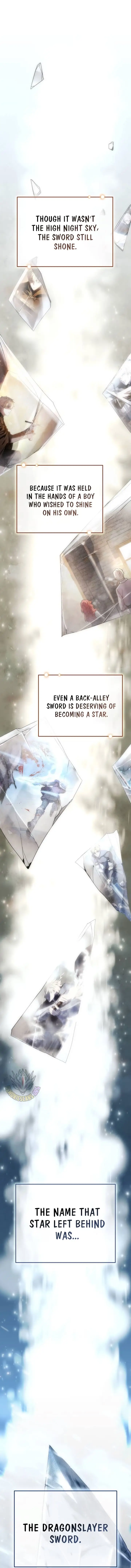 Read Star-Embracing Swordmaster EN Manga Online