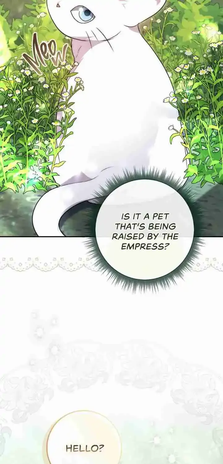 Read The Male Lead Is Obsessed With My Health EN Manga Online