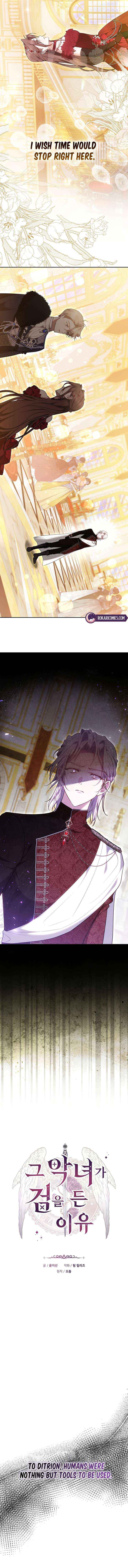 Read The Reason Why That Villainess Picked Up A Sword EN Manga Online