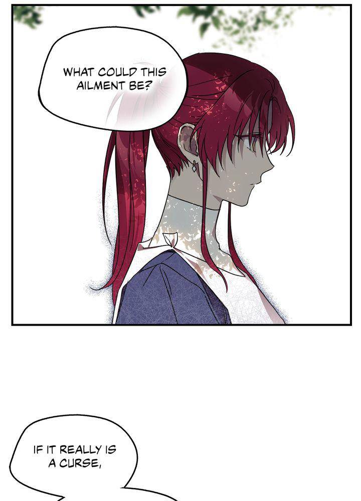 Read The Spark in Your Eyes EN Manga Online