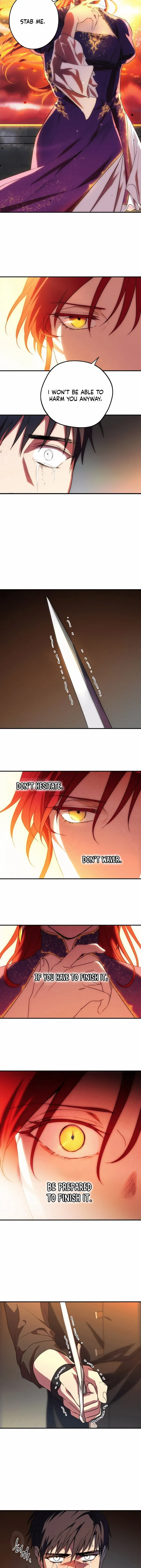 Read The Spark in Your Eyes EN Manga Online