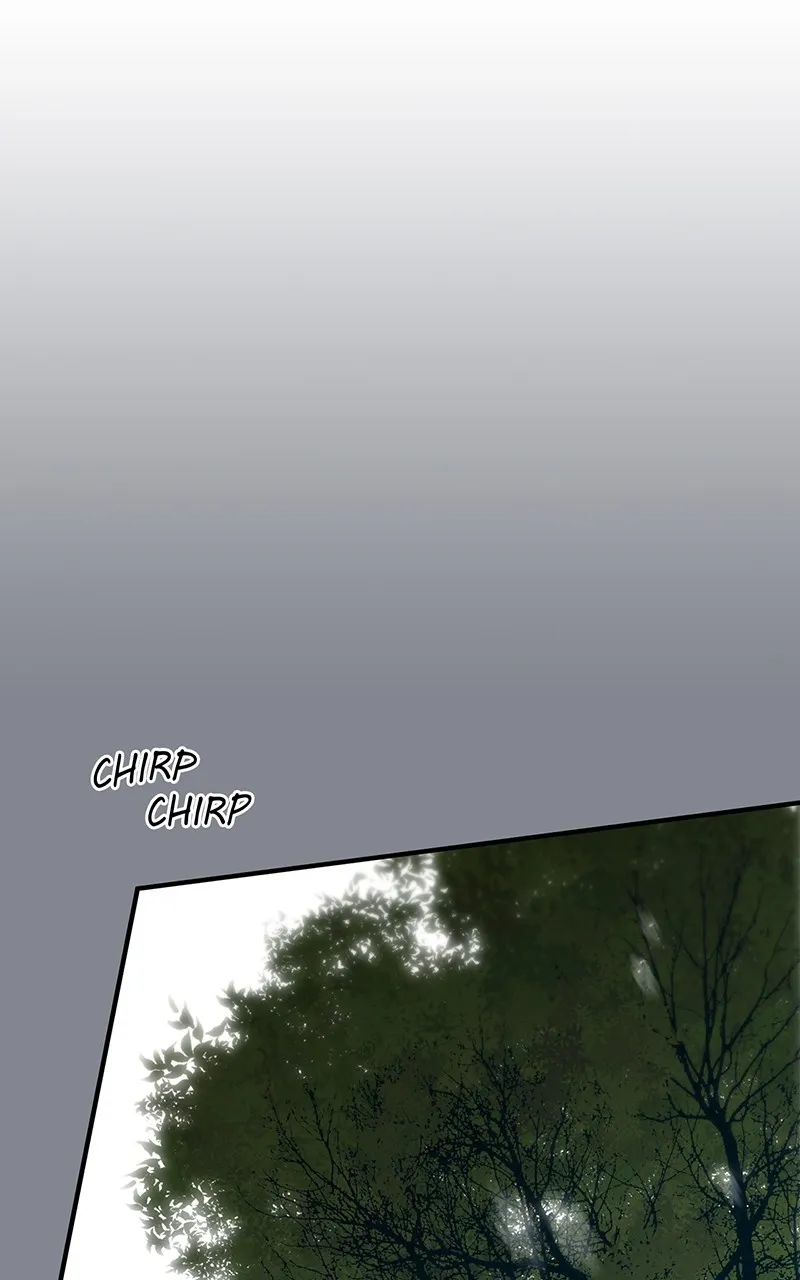 Read The Spark in Your Eyes EN Manga Online