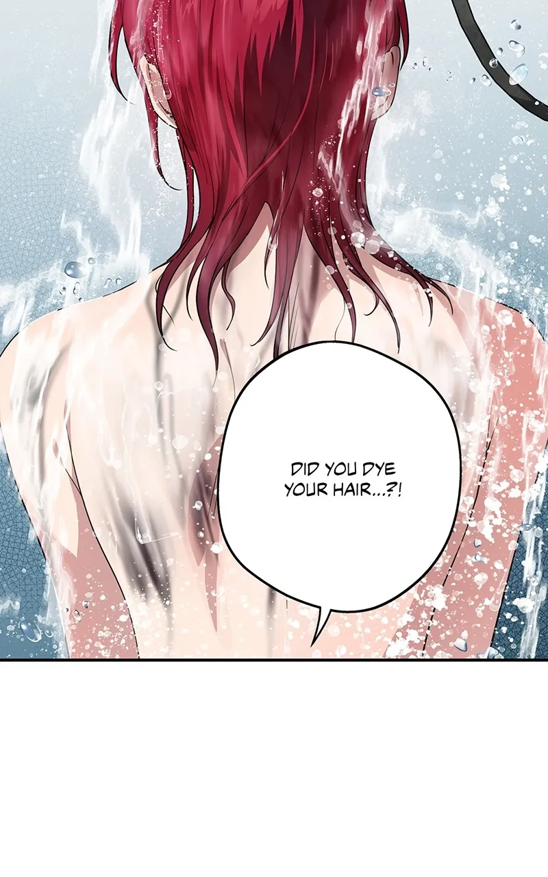 Read The Spark in Your Eyes EN Manga Online