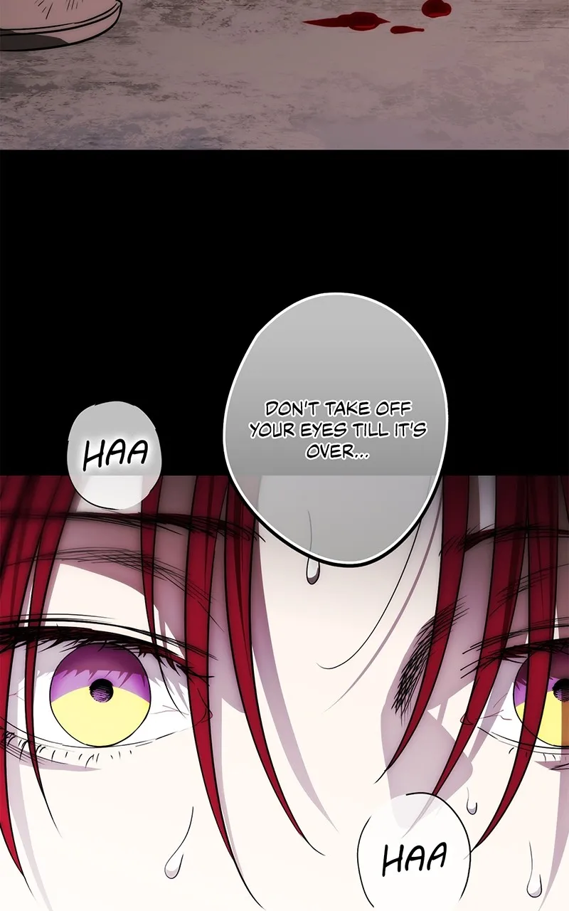 Read The Spark in Your Eyes EN Manga Online