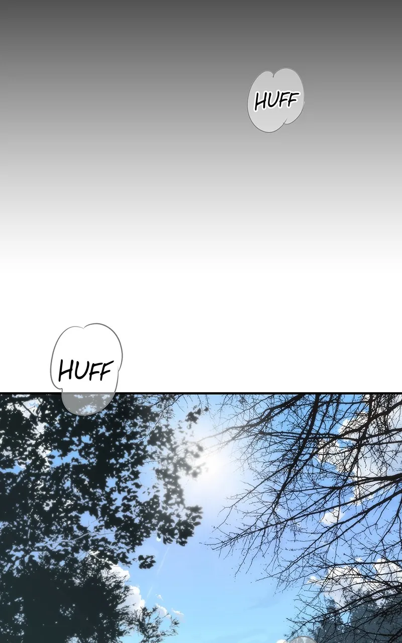 Read The Spark in Your Eyes EN Manga Online