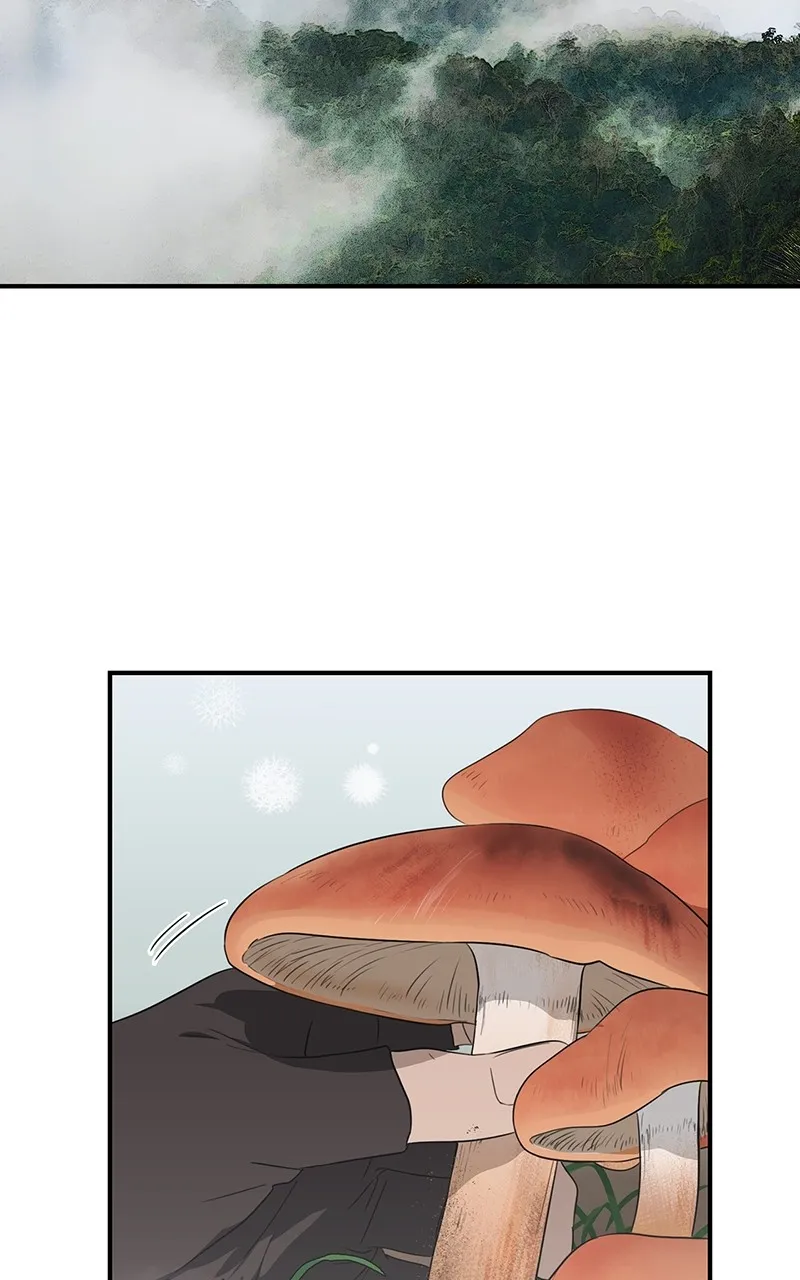 Read The Spark in Your Eyes EN Manga Online