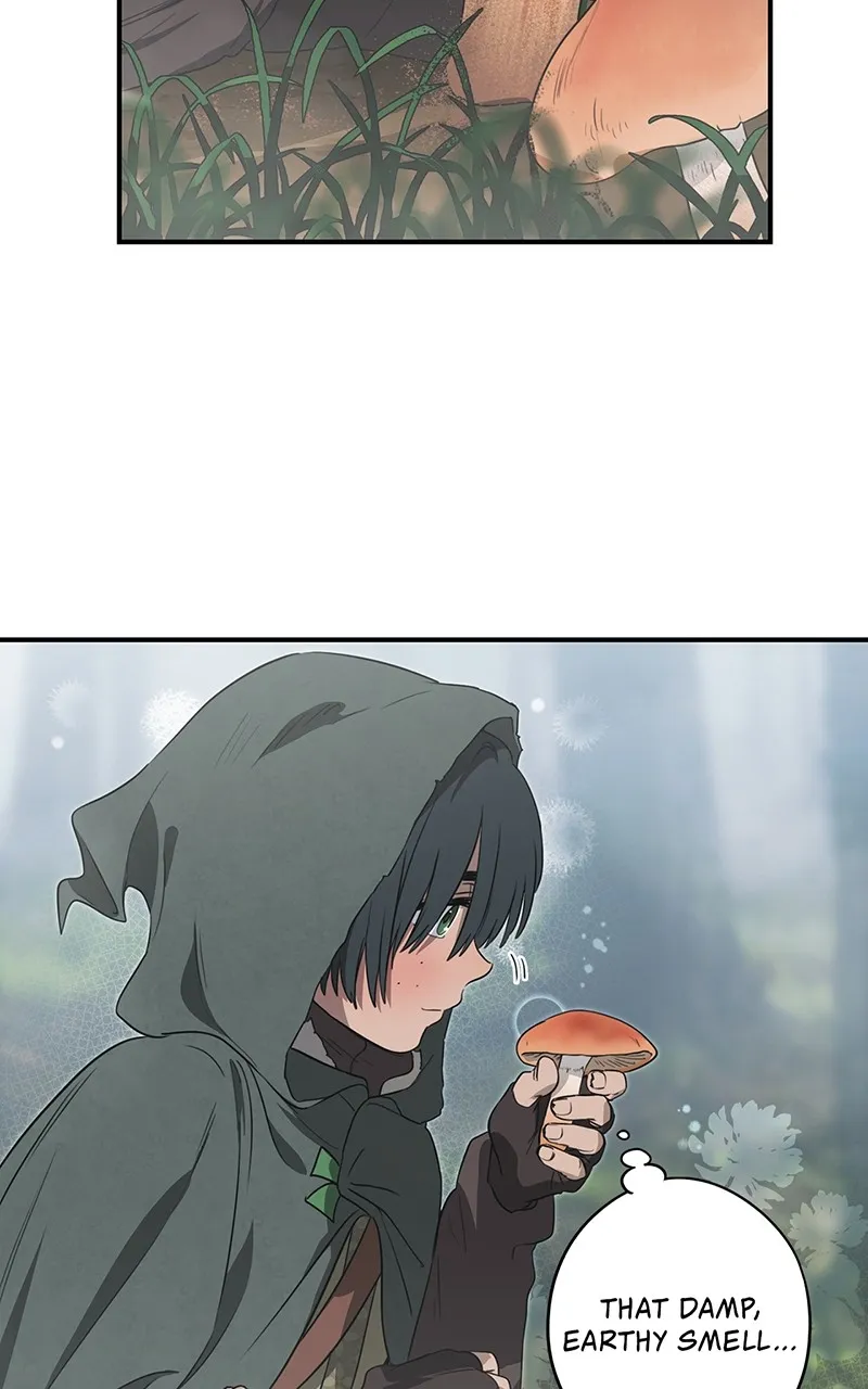 Read The Spark in Your Eyes EN Manga Online