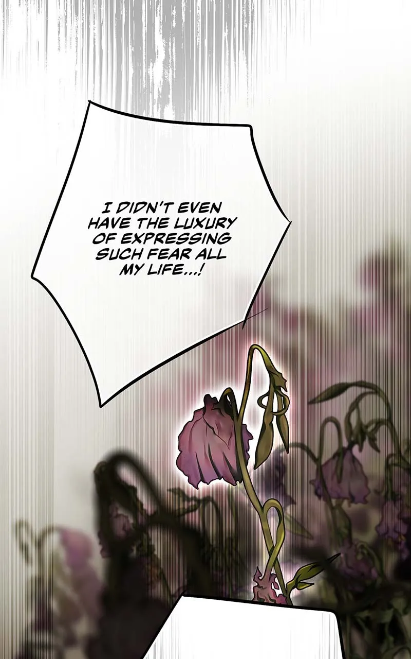 Read The Spark in Your Eyes EN Manga Online