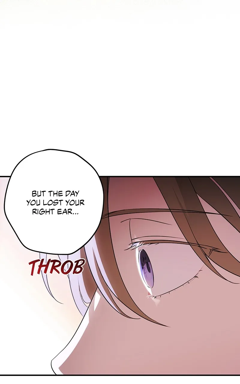 Read The Spark in Your Eyes EN Manga Online