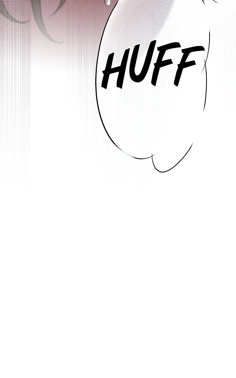 Read The Spark in Your Eyes EN Manga Online
