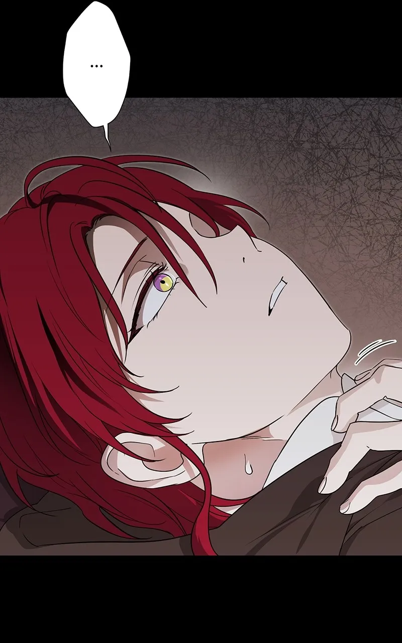 Read The Spark in Your Eyes EN Manga Online
