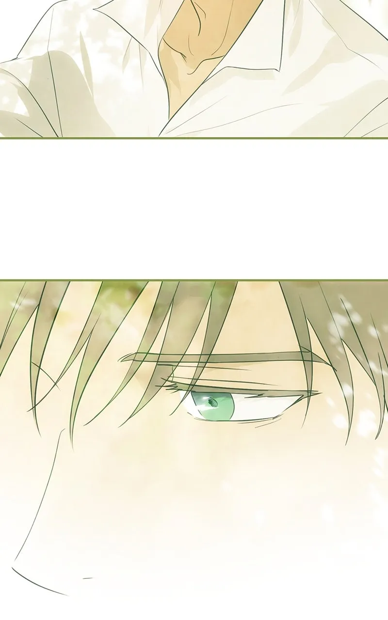 Read The Spark in Your Eyes EN Manga Online