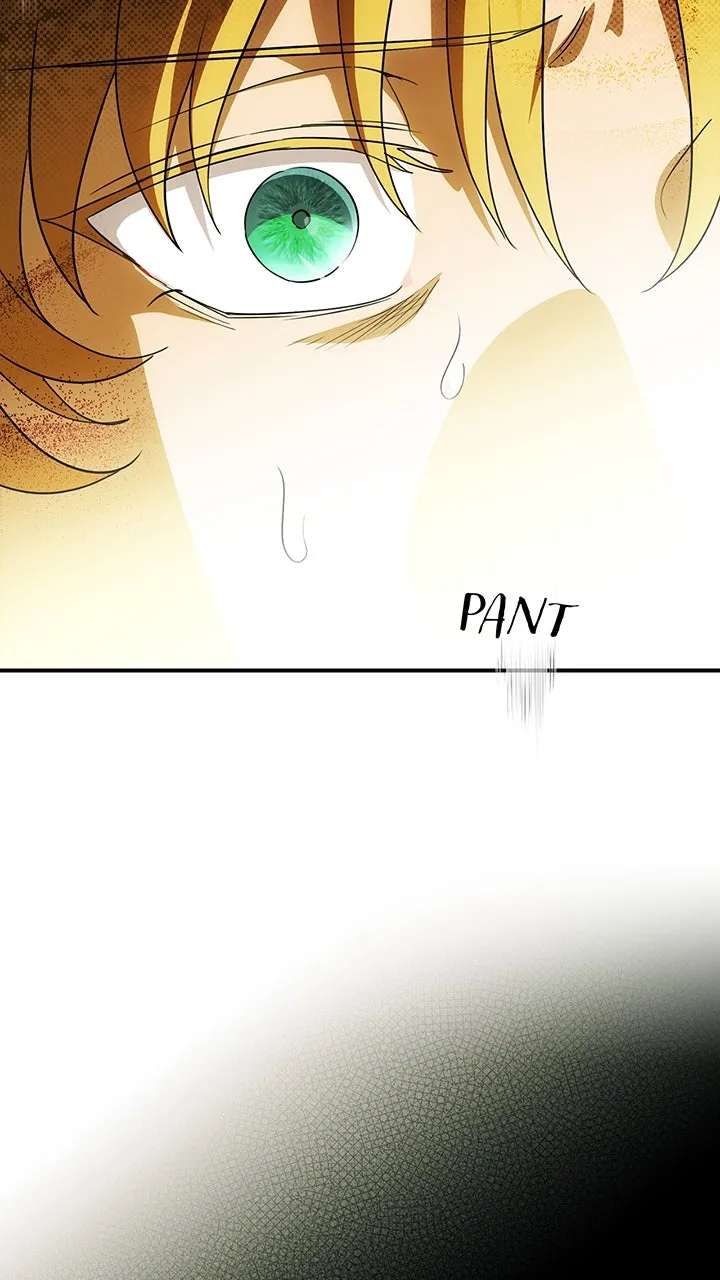 Read The Spark in Your Eyes EN Manga Online
