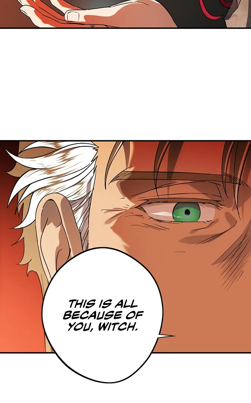 Read The Spark in Your Eyes EN Manga Online