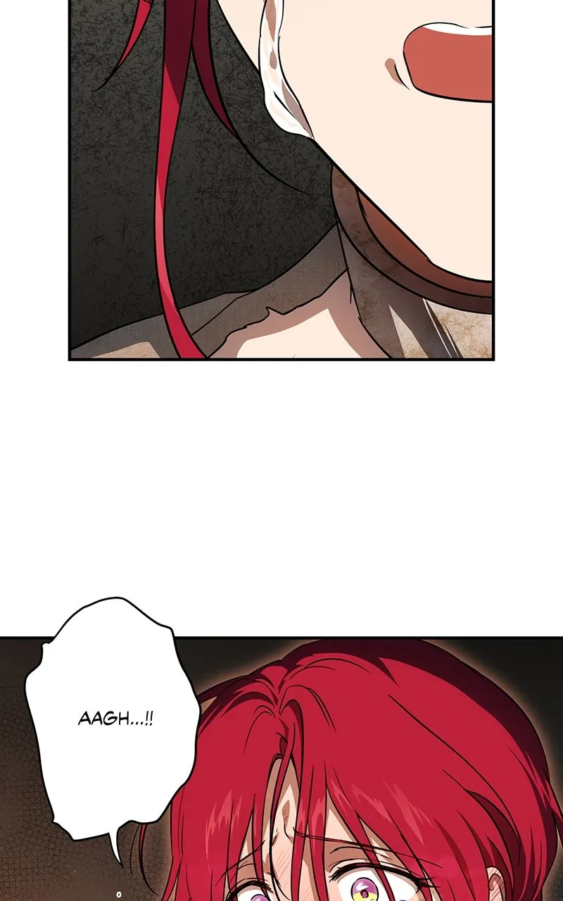 Read The Spark in Your Eyes EN Manga Online