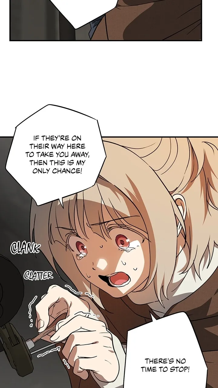 Read The Spark in Your Eyes EN Manga Online