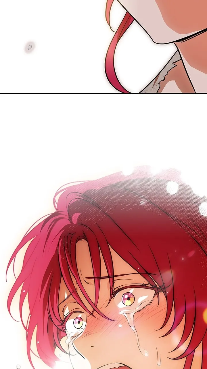 Read The Spark in Your Eyes EN Manga Online