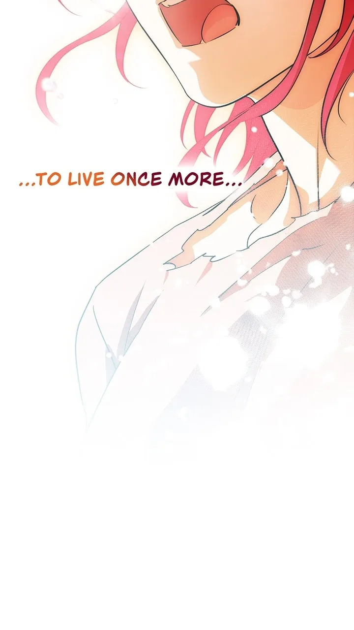 Read The Spark in Your Eyes EN Manga Online