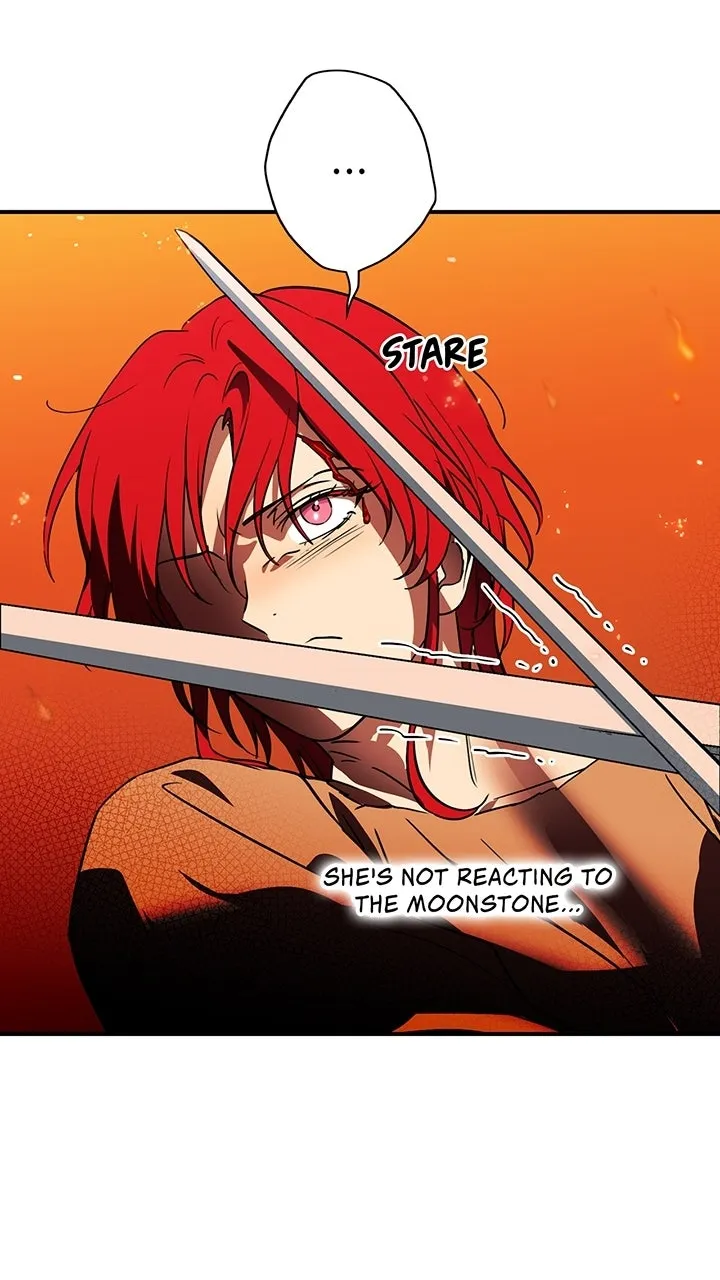 Read The Spark in Your Eyes EN Manga Online