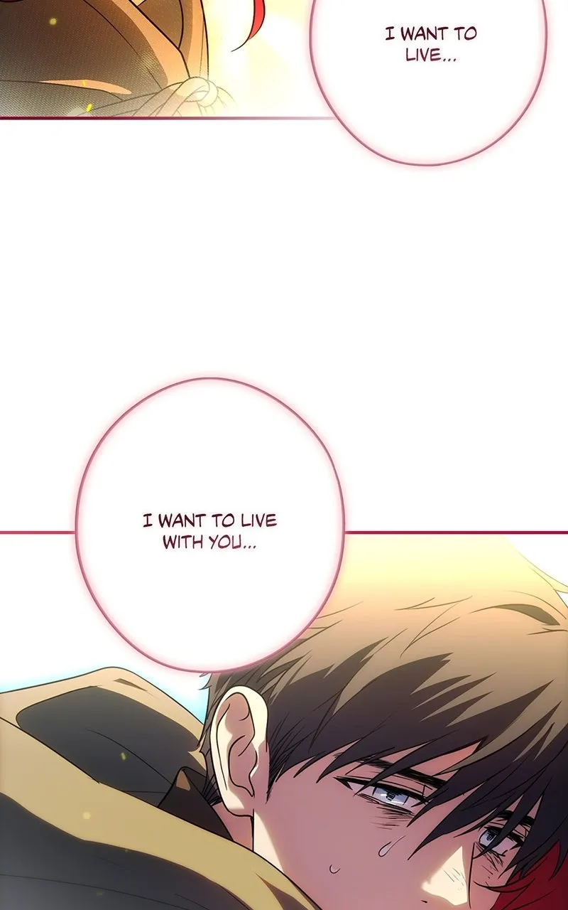 Read The Spark in Your Eyes EN Manga Online