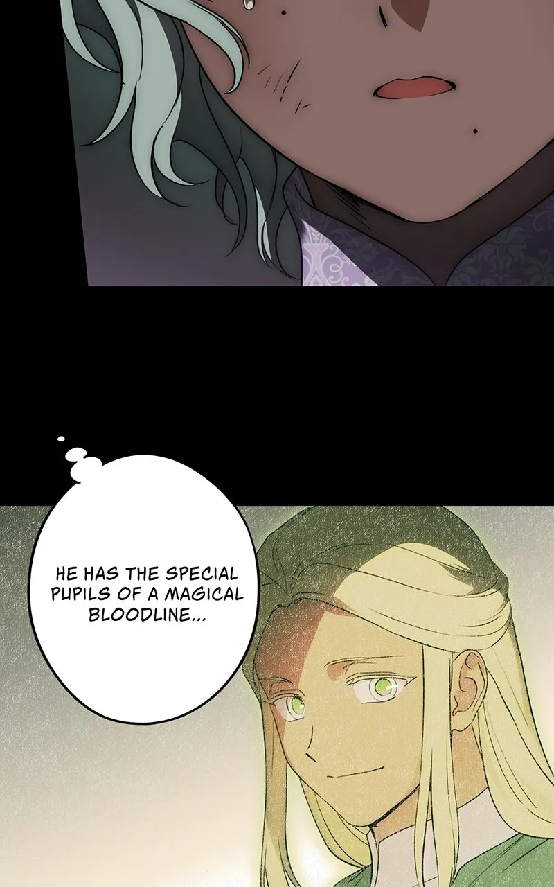 Read The Spark in Your Eyes EN Manga Online