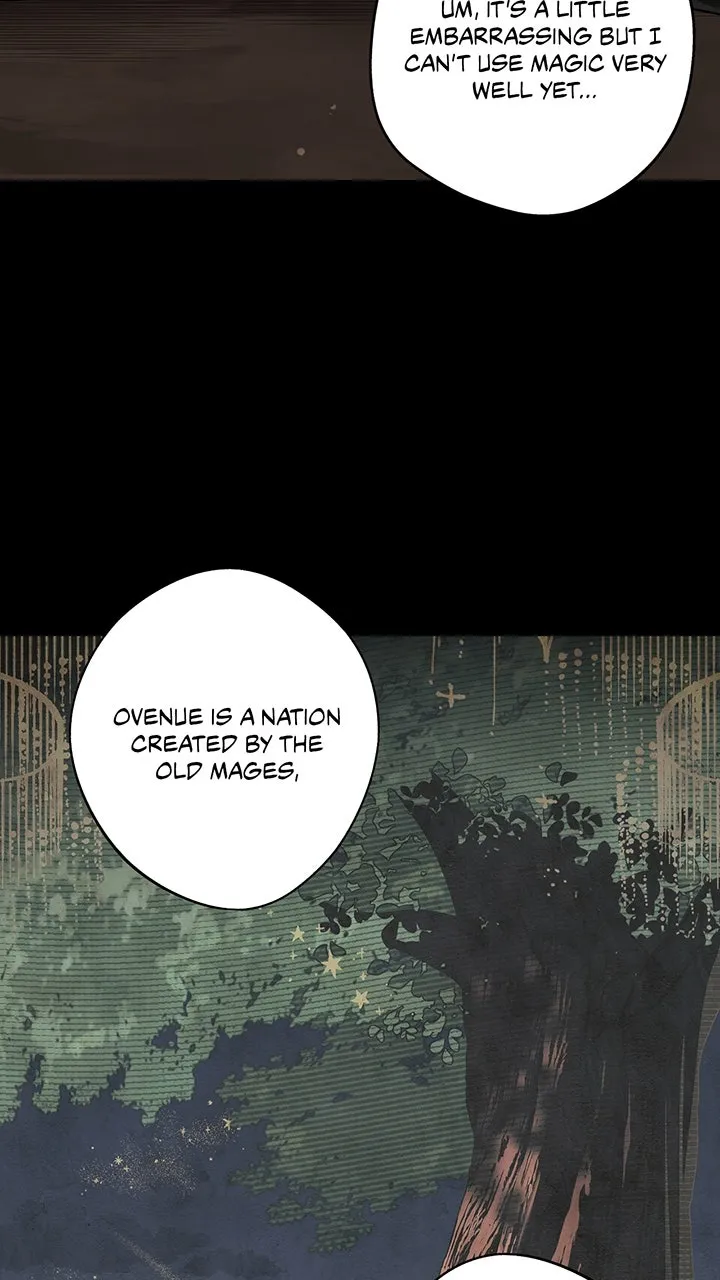 Read The Spark in Your Eyes EN Manga Online